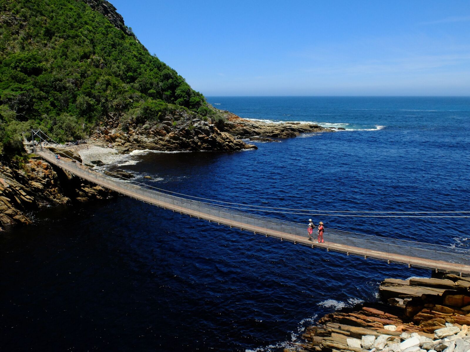 Garden-Route-National-Park-south-africa