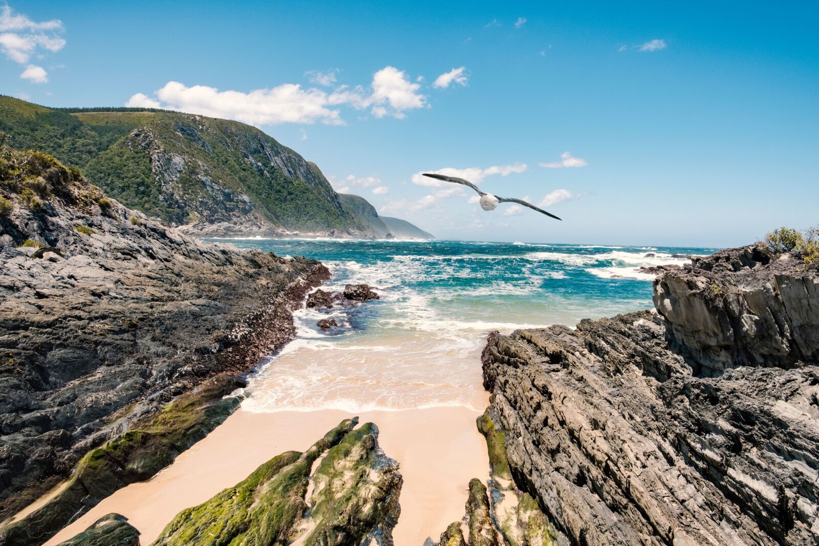 garden-route-national-park