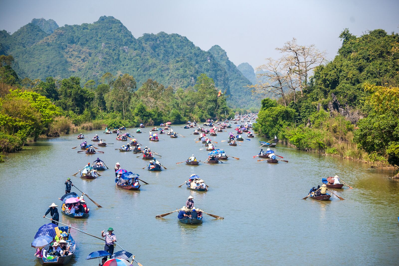 shutterstock_1308952843