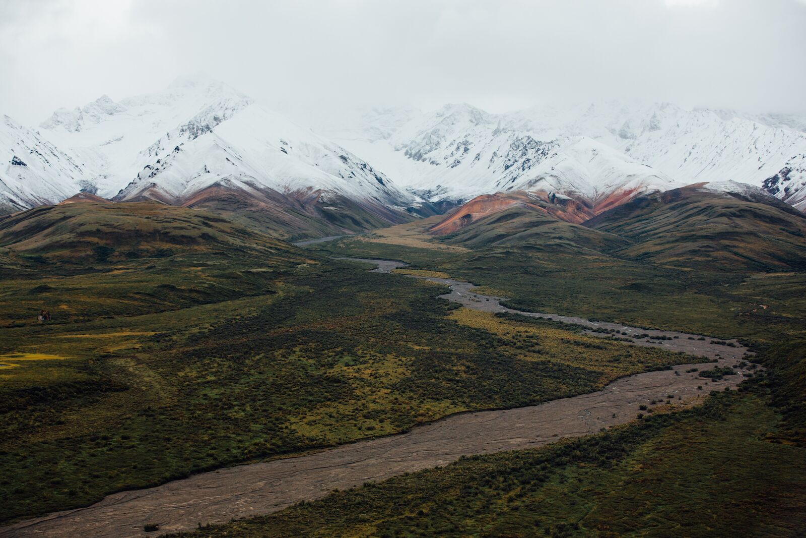 Denali_Backcountry_Adventure_IMG_7780