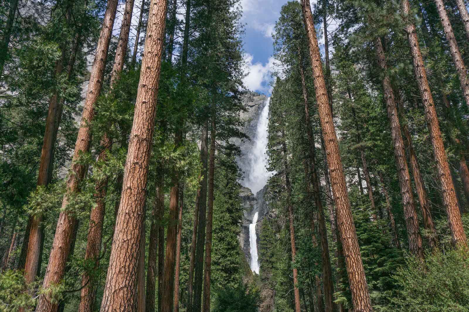 Yosemite-Falls