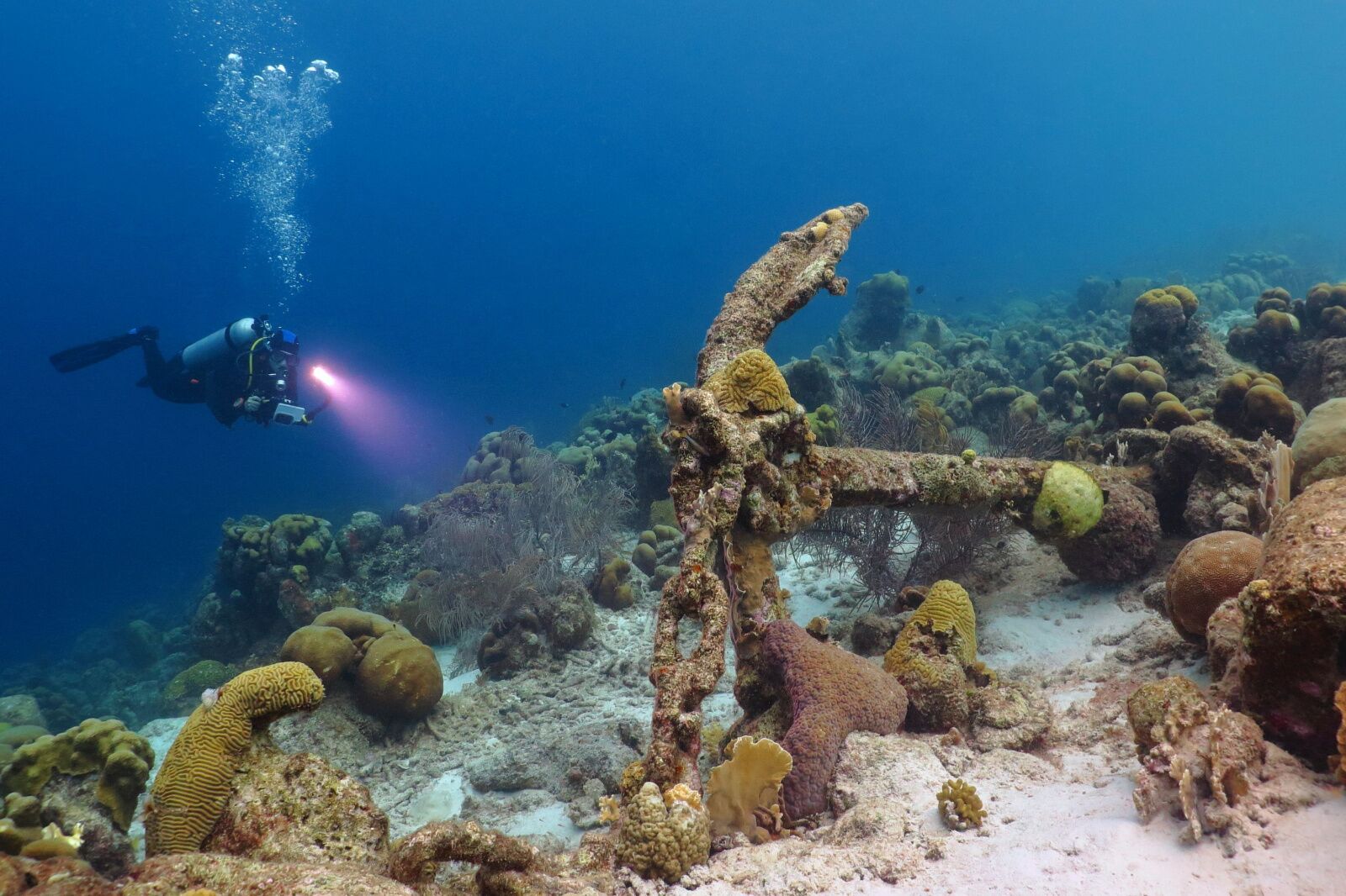 costa-rica-diving-reef