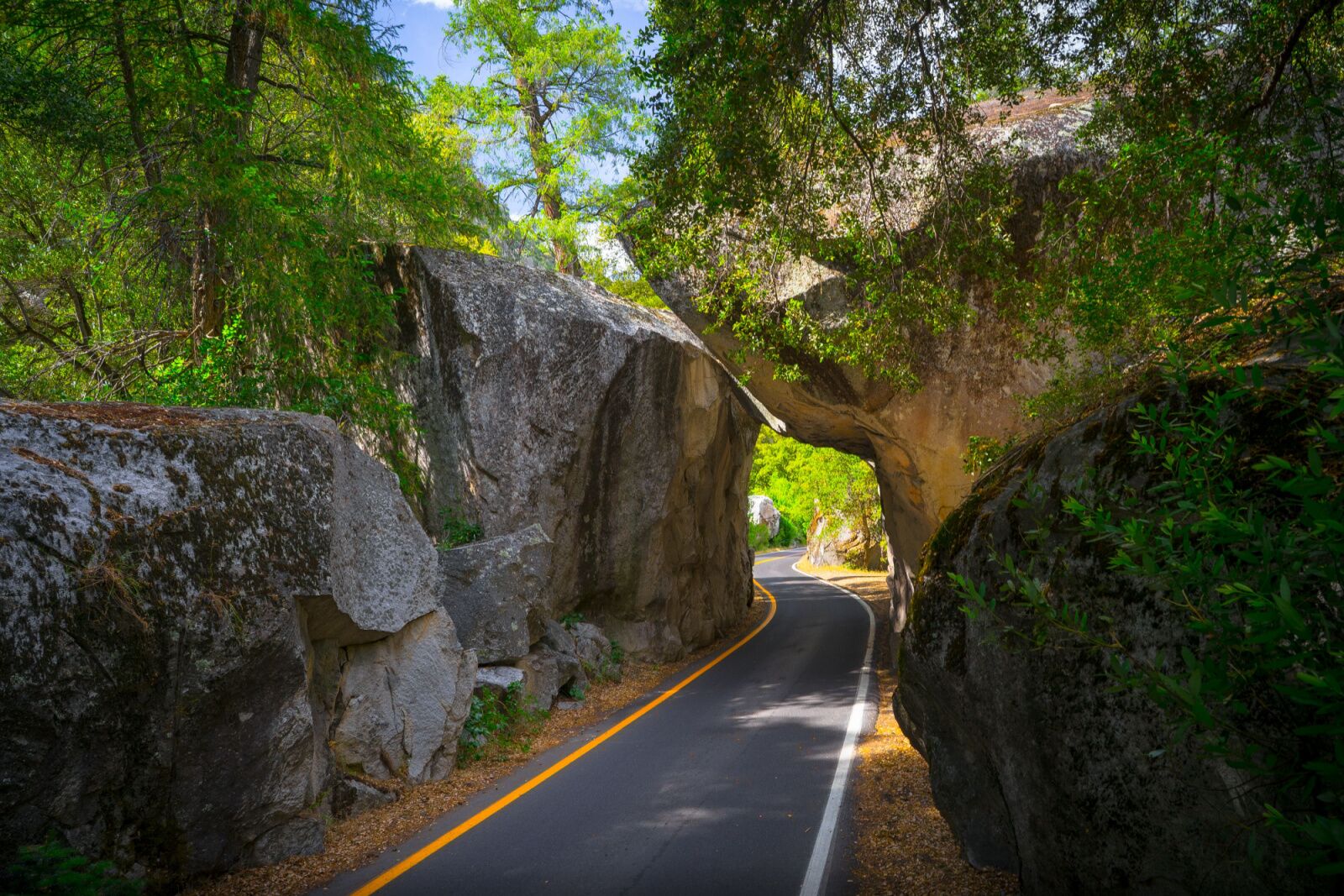 el-portal-road