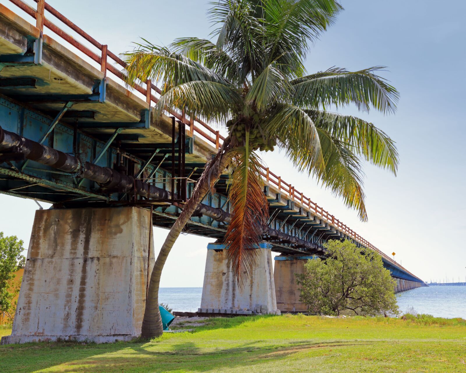 pigeon-key-bridge-train