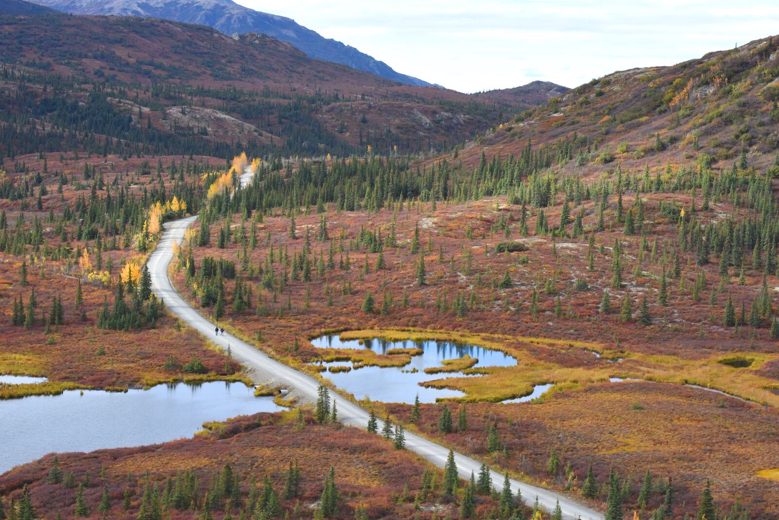 road-denali
