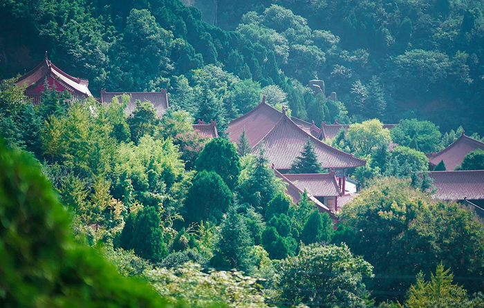 169442307537902400_a700xH