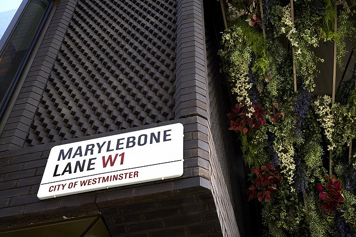 16957935428306700_a700xH 16957935428306700_a700xH