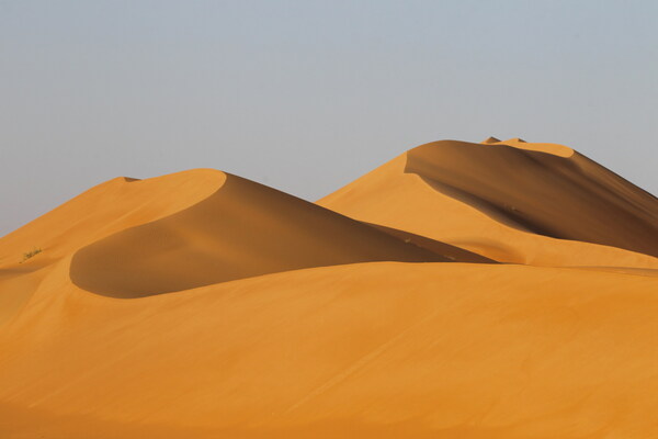 The_Uruq_Bani_Ma_arid_Reserve_in_Saudi_Arabia___Picture_1