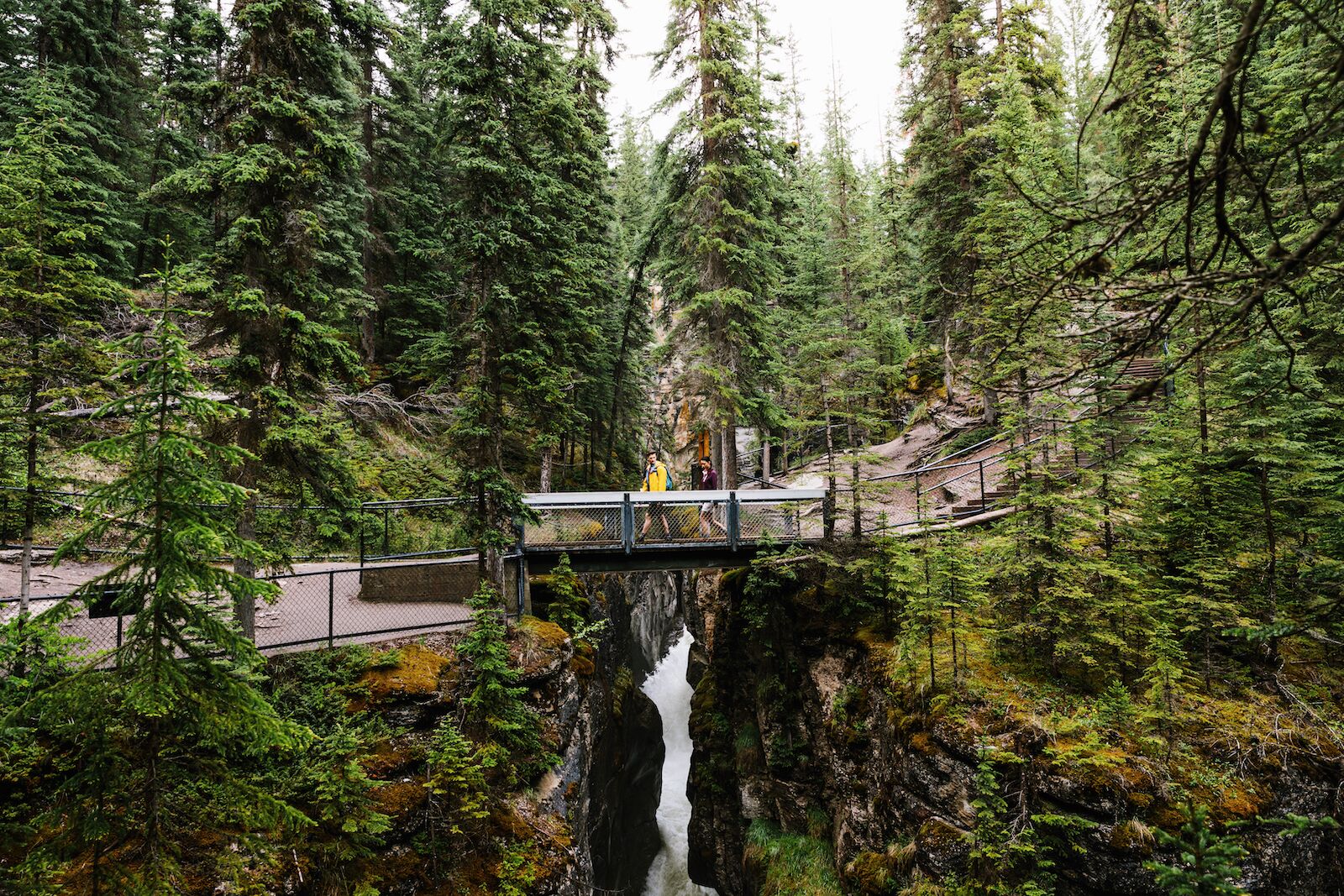 jasper-national-park-autumn-1