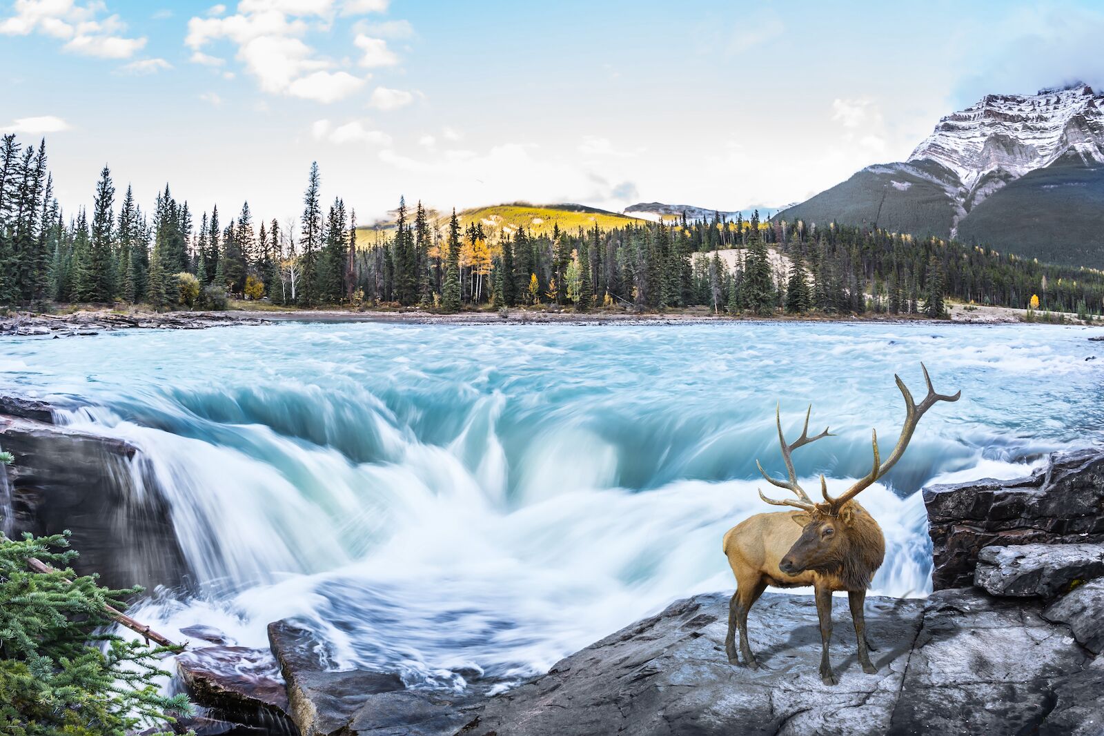 jasper-national-park-autumn-2