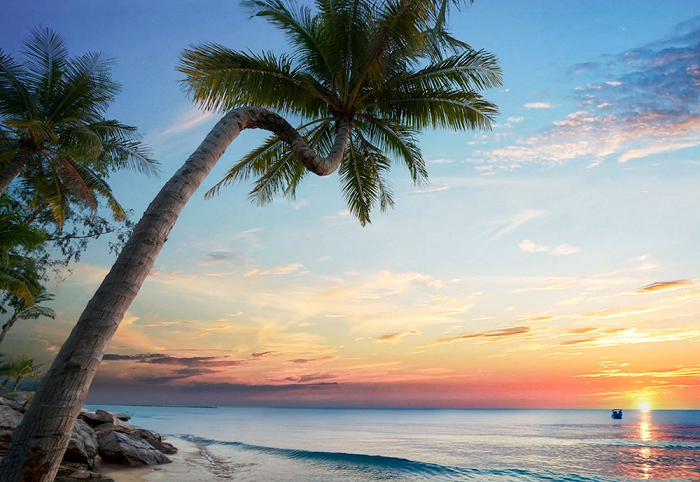 169918137030032800_a700xH 169918137030032800_a700xH