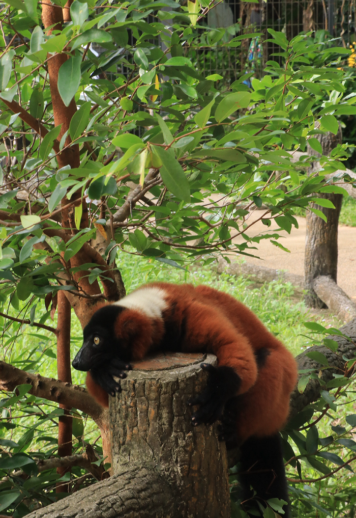 169918170487682000_a700xH 169918170487682000_a700xH