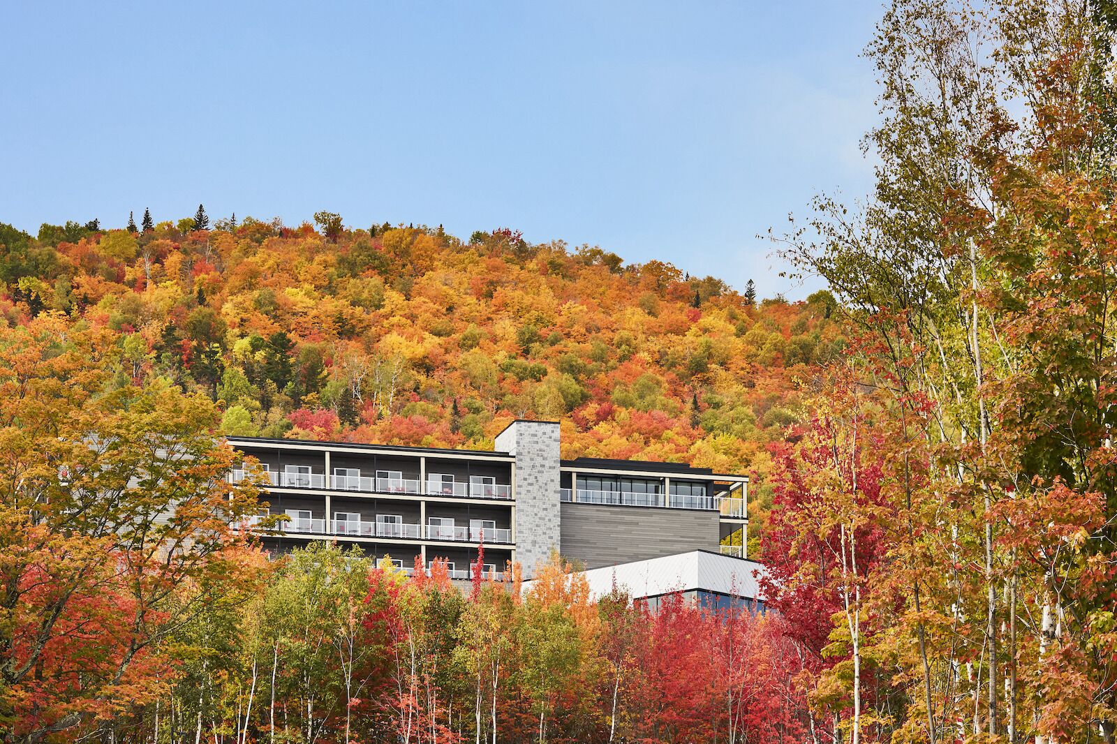 QCHC_K221_012