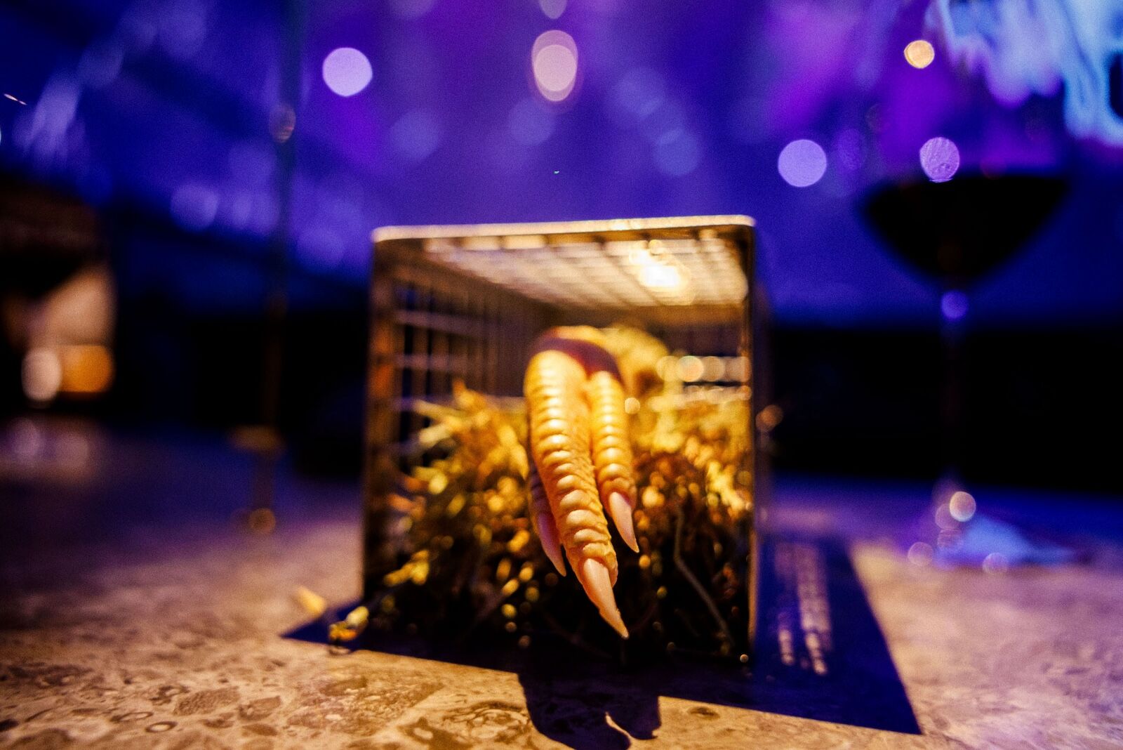 chicken-feet-alchemist-copenhagen