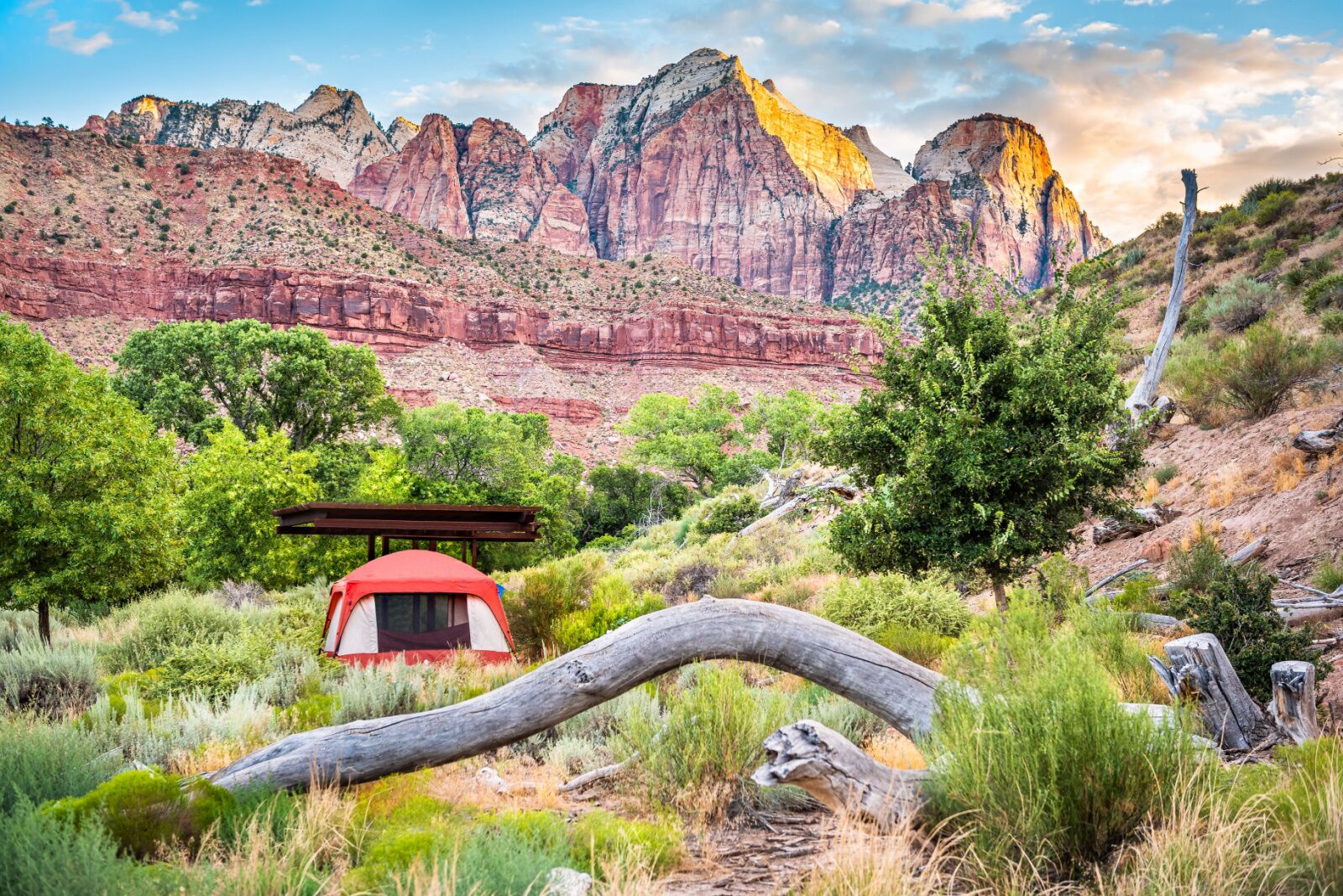 watchman-campground-zion-np