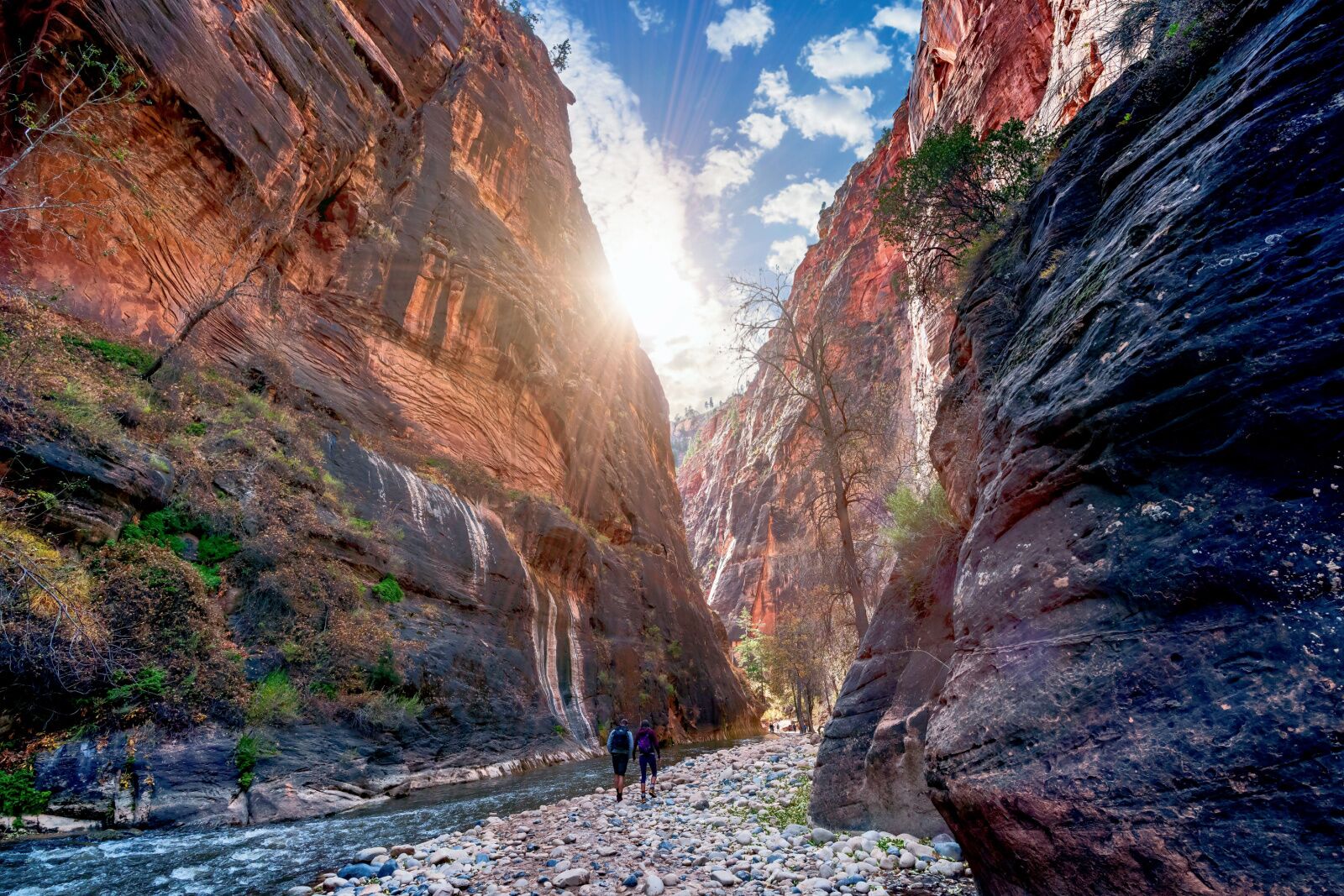 zion-canyon-narrows