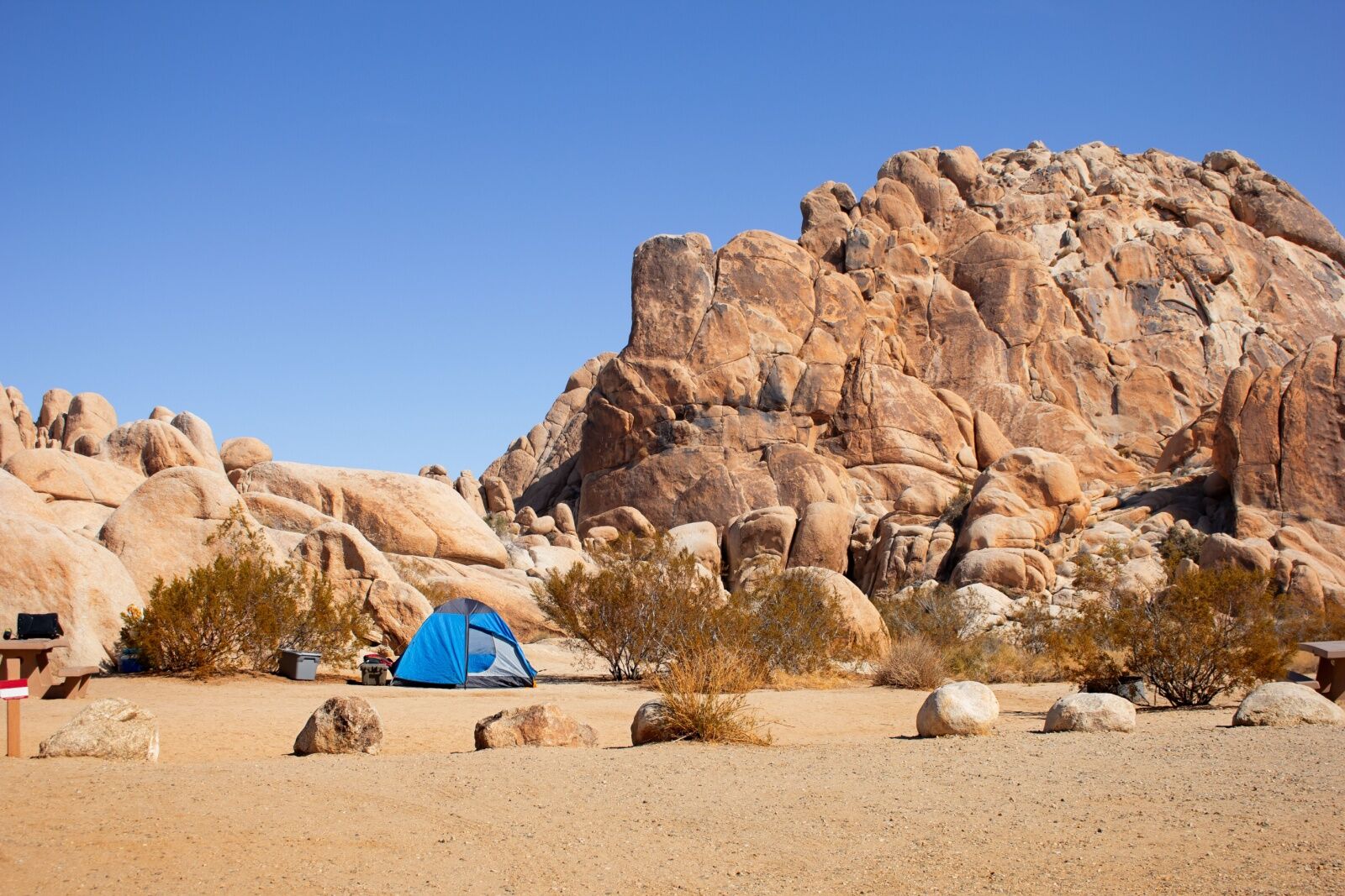 blue-tent-in-desert-at-joshua-tree blue-tent-in-desert-at-joshua-tree