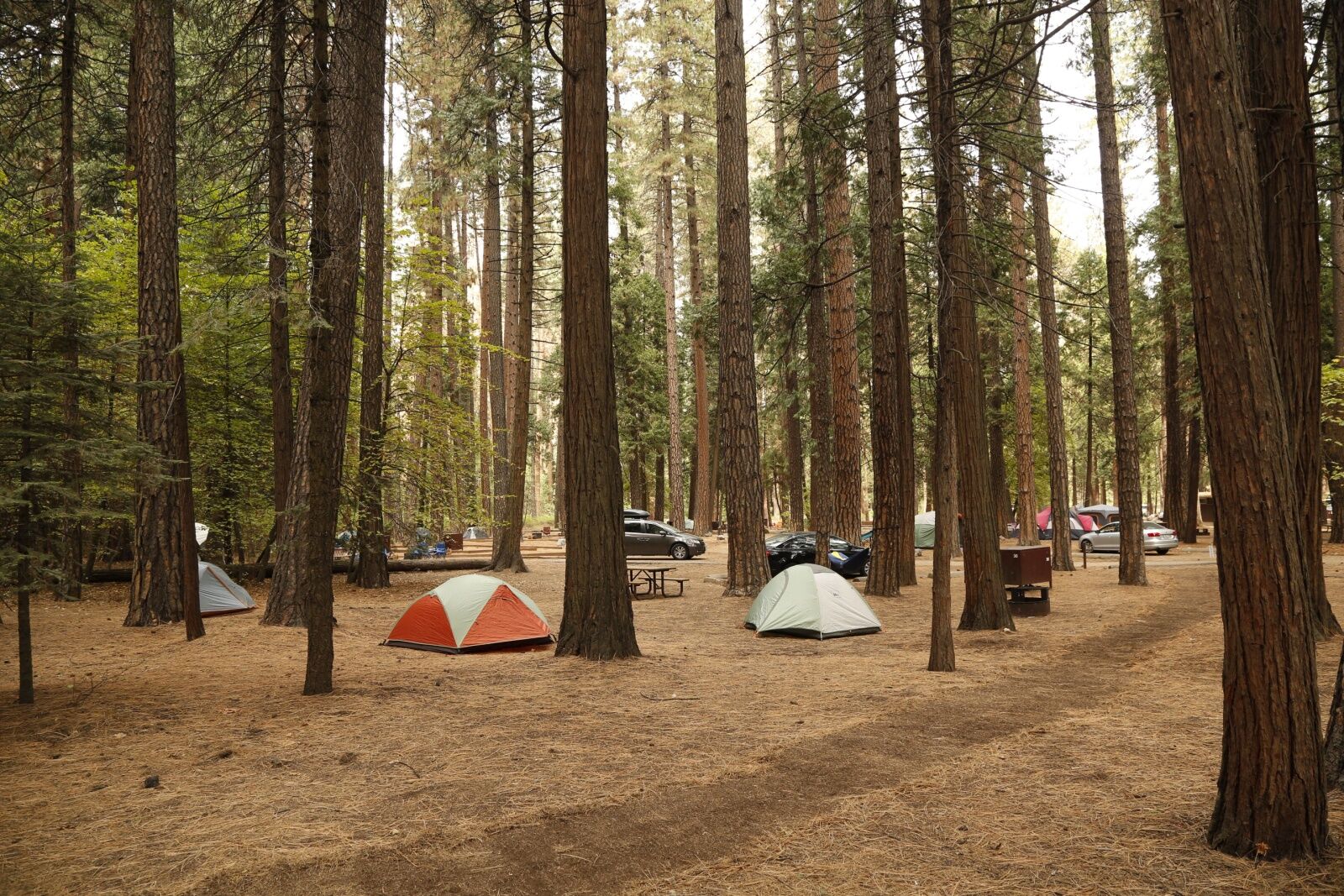 yosemite-valley-campgrounds