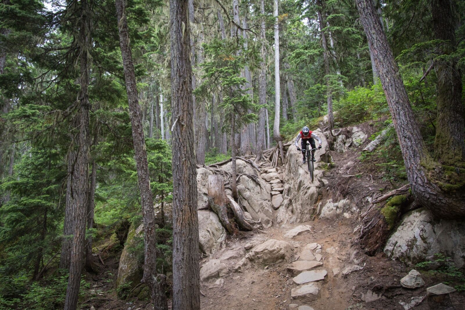 tech-trail-rider-whistler