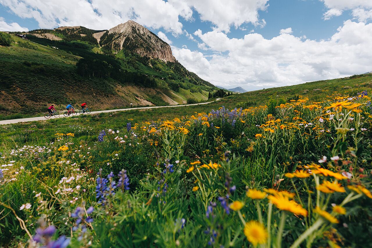 gravel-biking-crested-butte-1 gravel-biking-crested-butte-1
