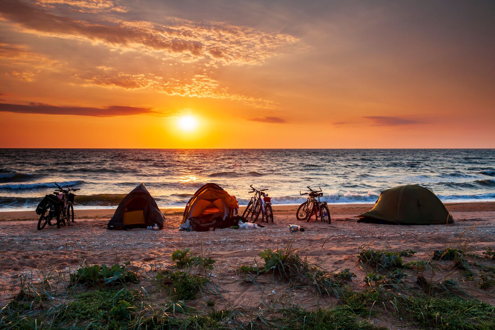 west-coast-beach-camping-1731319030