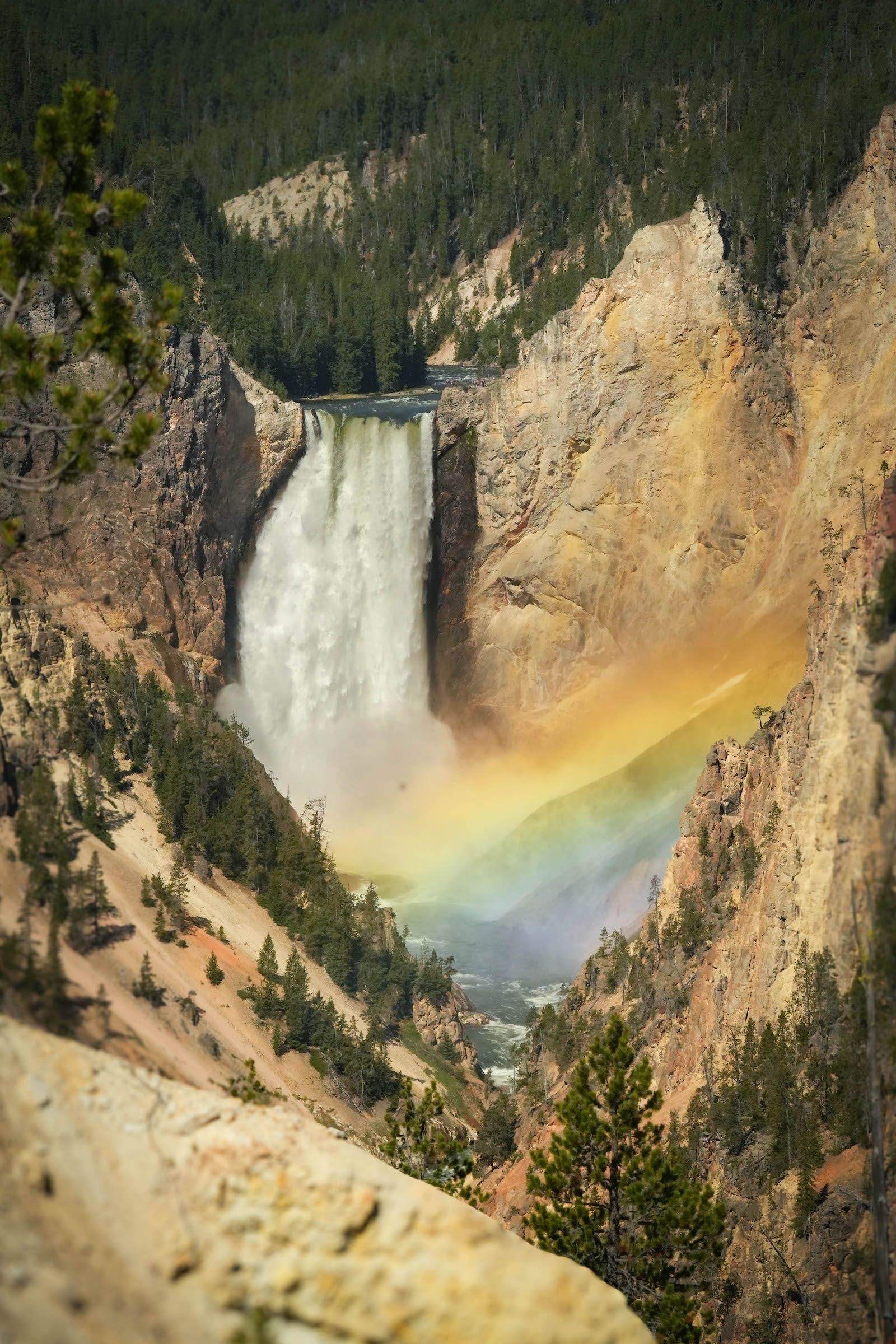 yellowstone-rainbow
