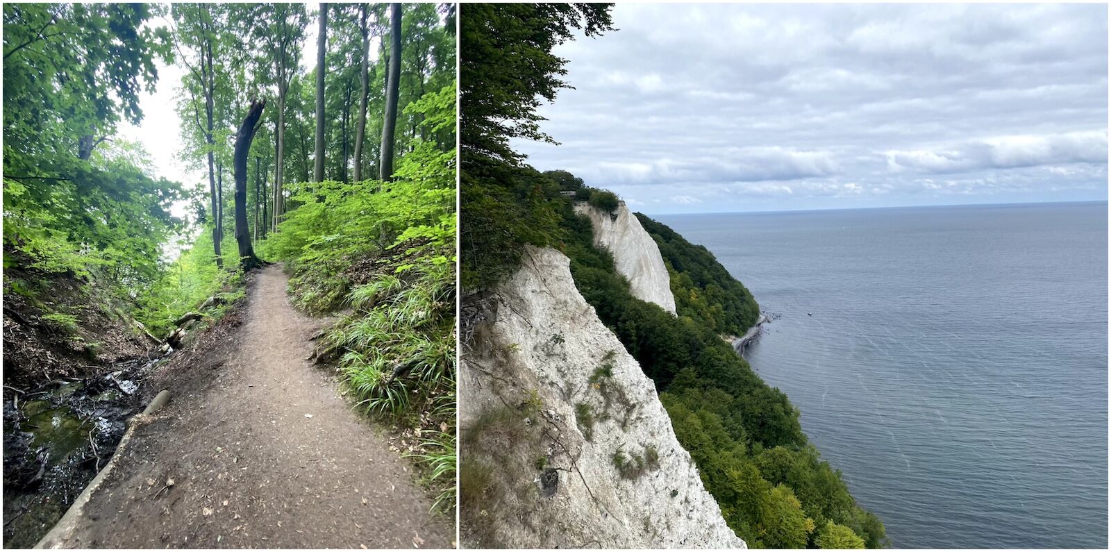 Jasmund-National-Park-Rugen-Germany-hike-Chalk-cliffs