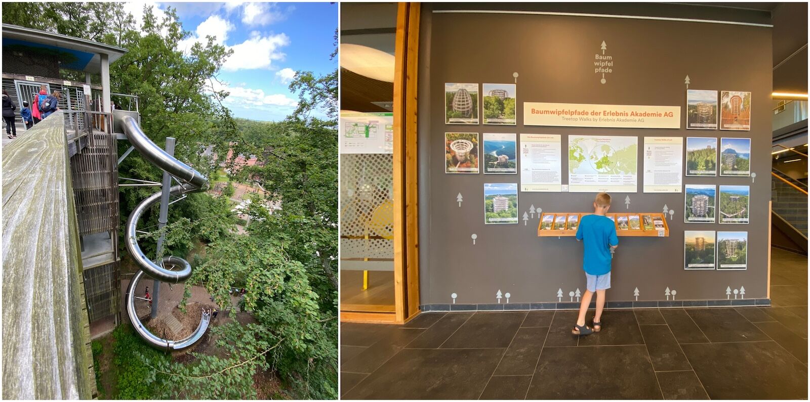 Treetop-walk-Propra-Germany-slide-information-center