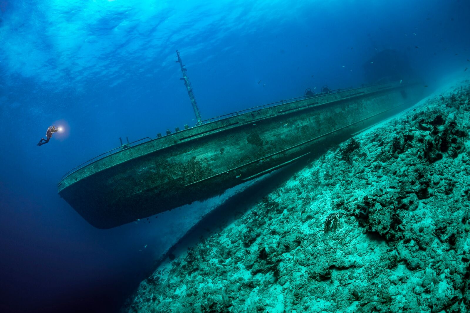 Ocean-Photographer-of-the-Year-2024-3
