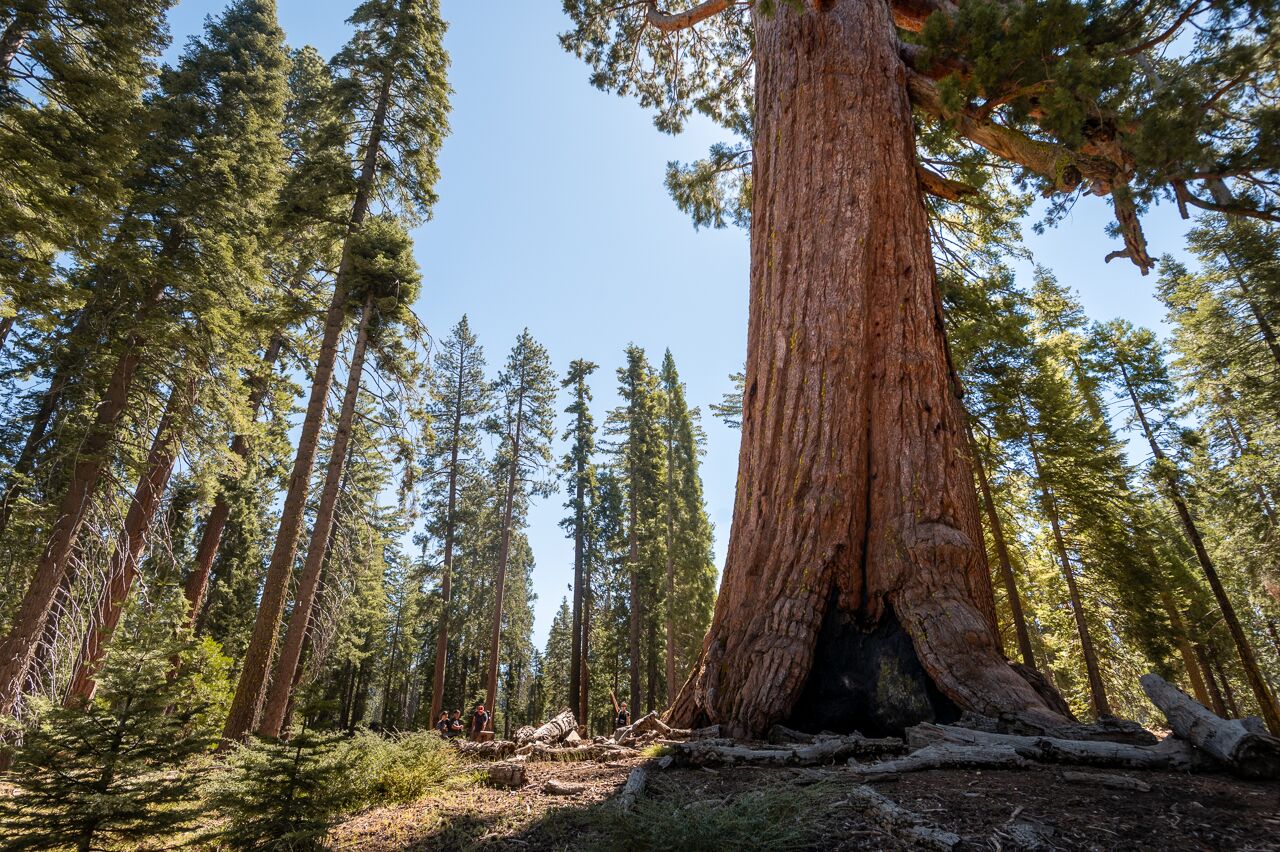 Yosemite-Camera-Roll-MN-6