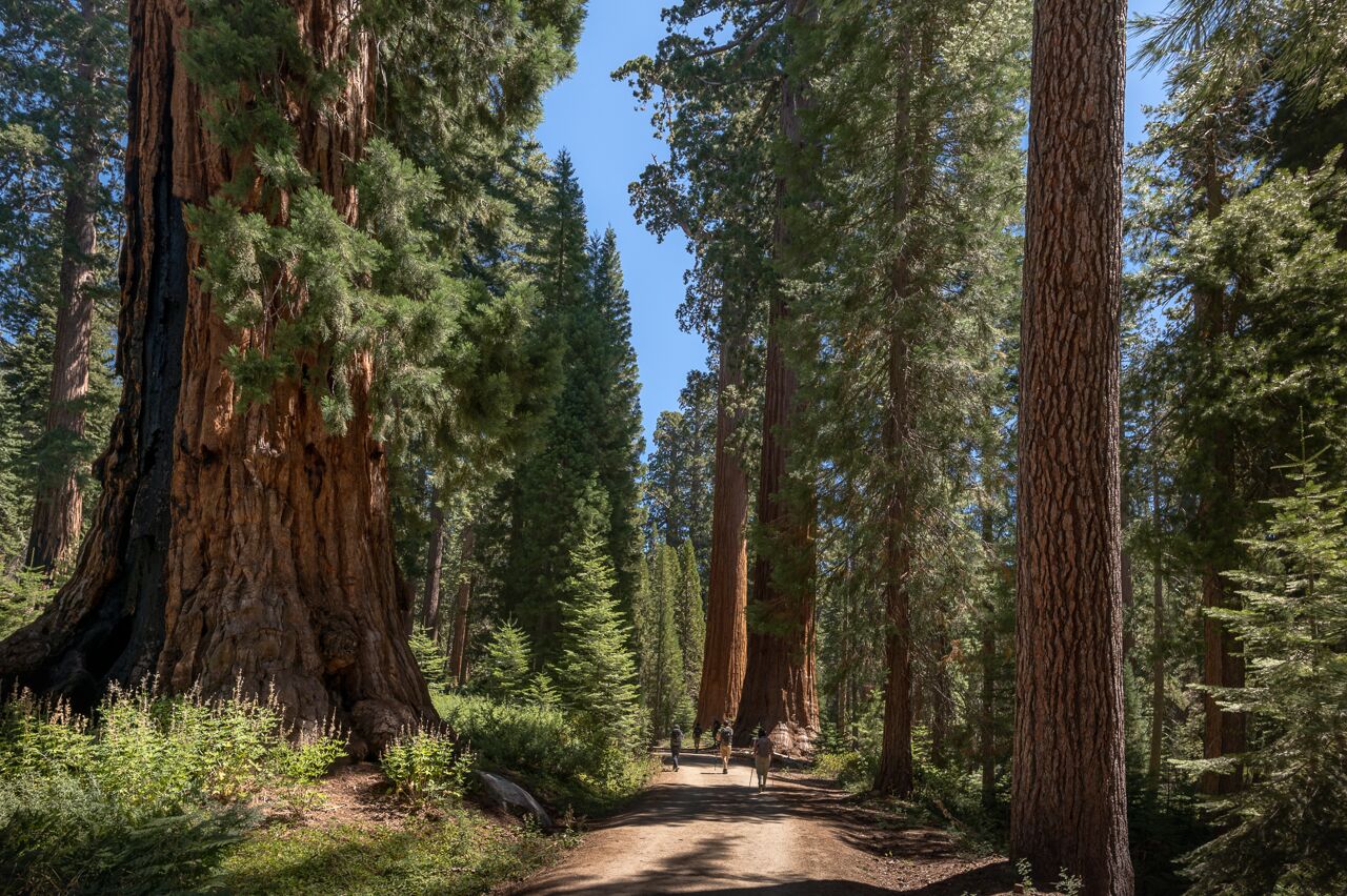 Yosemite-Camera-Roll-MN-7