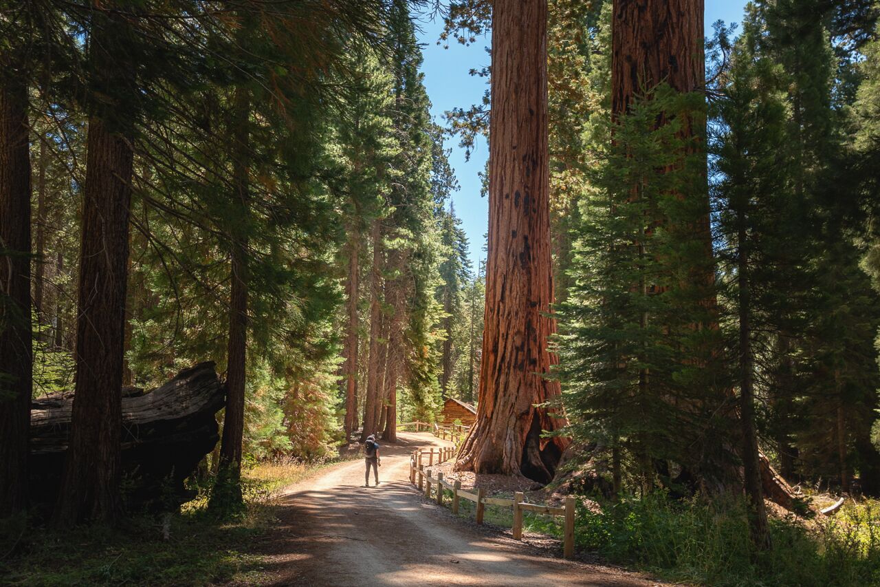 Yosemite-Camera-Roll-MN-8