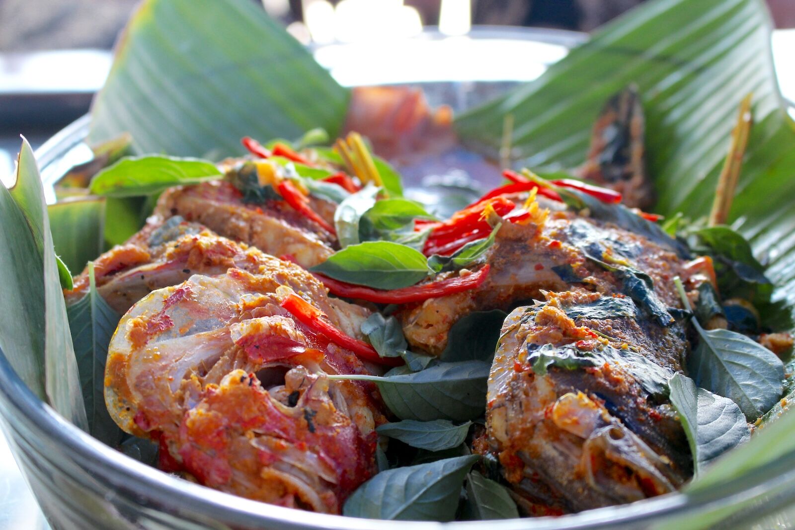 fish-dish-on-seatrek