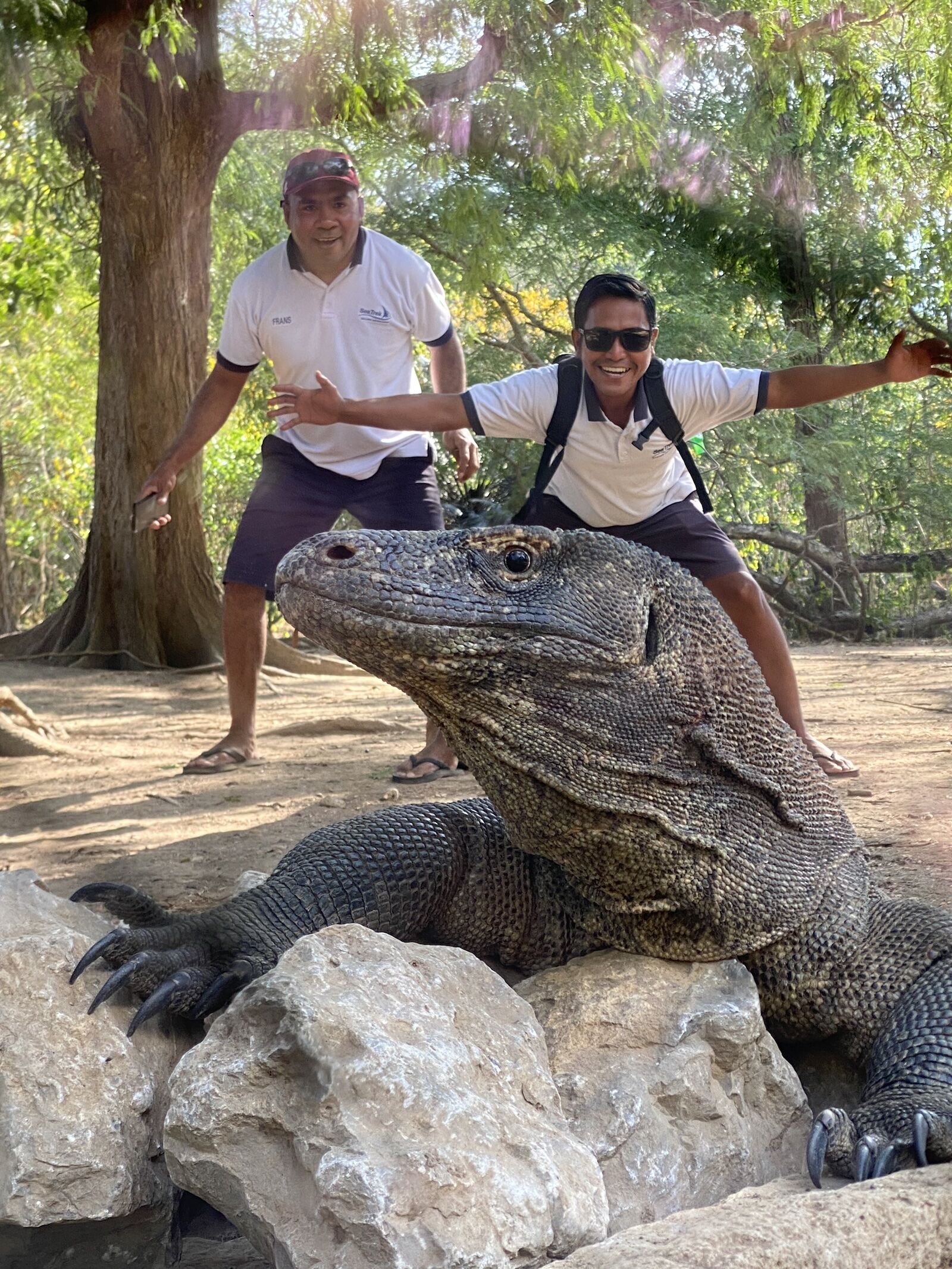komodo-and-staff