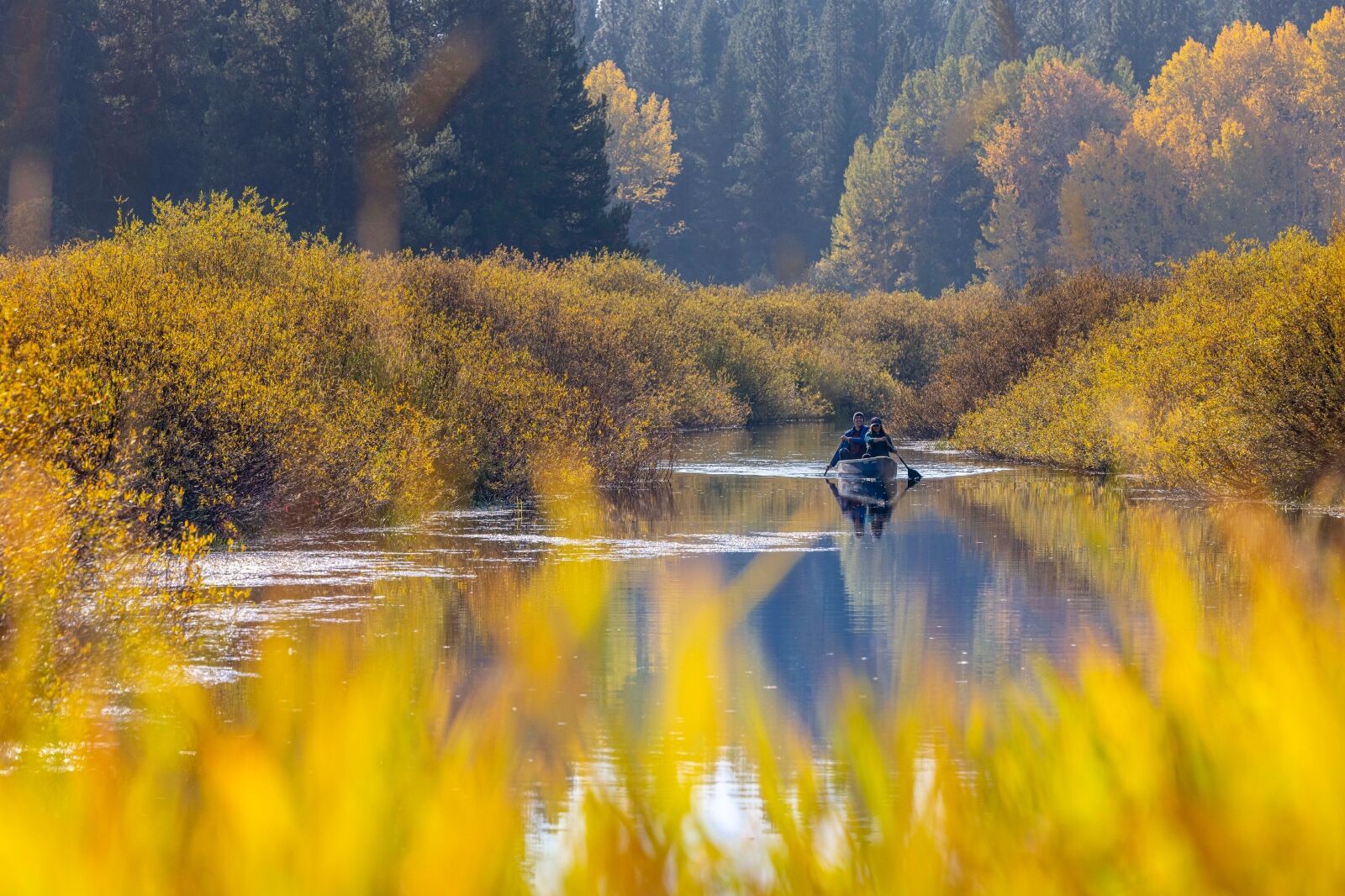montana-in-the-fall-3