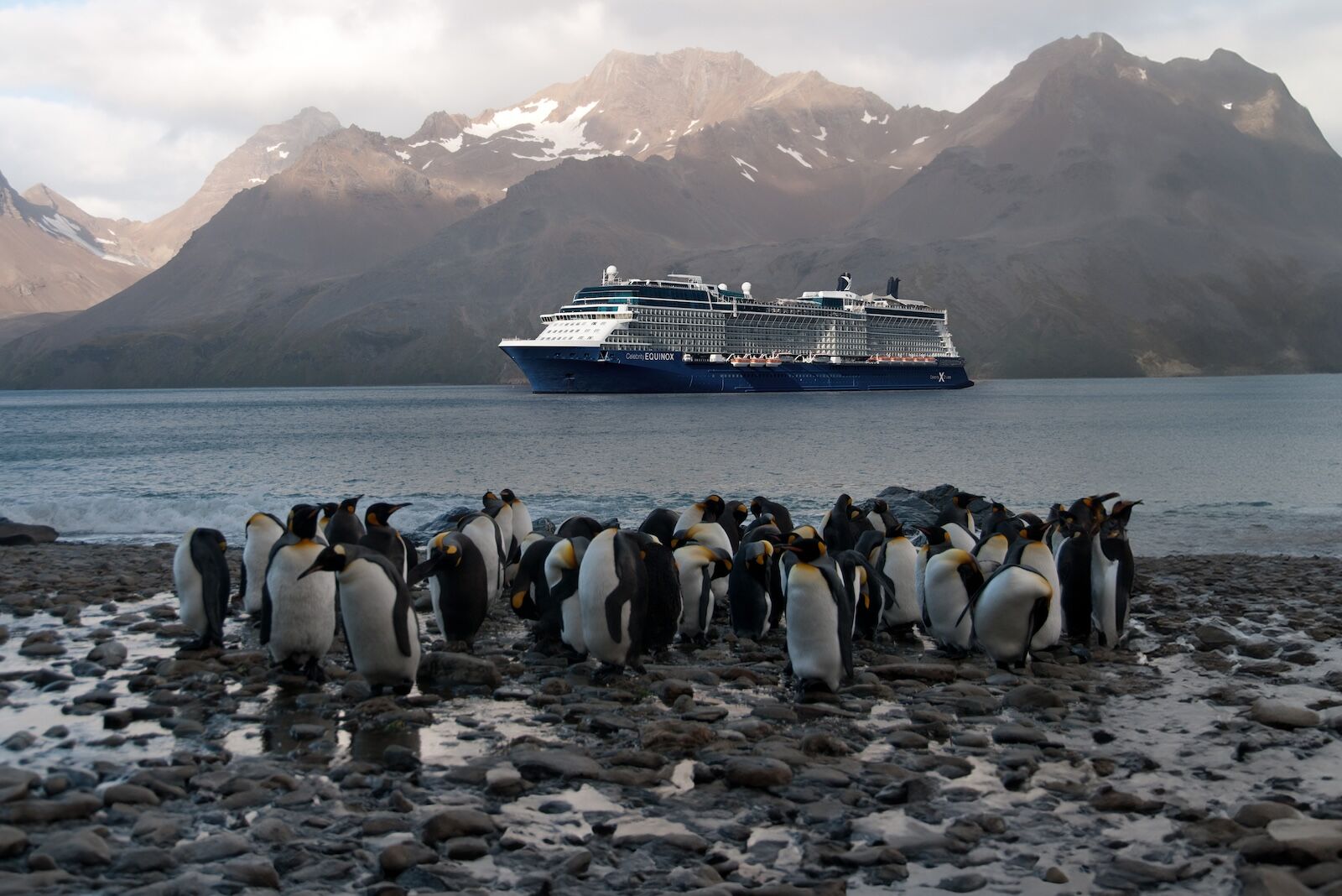 Celebrity-Cruises-Black-friday-deal