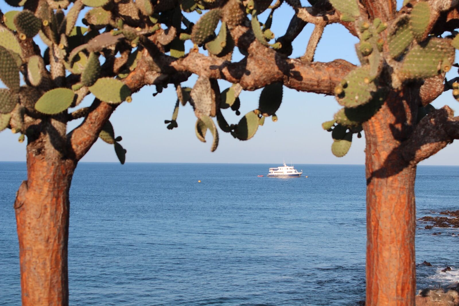 Galapagos-cruises-G-Adventures
