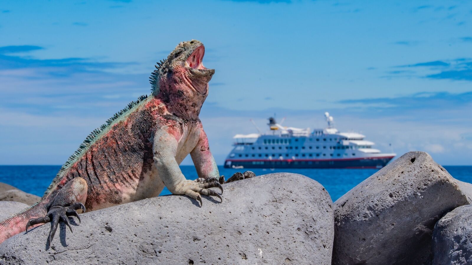 HX-Galapagos-cruise