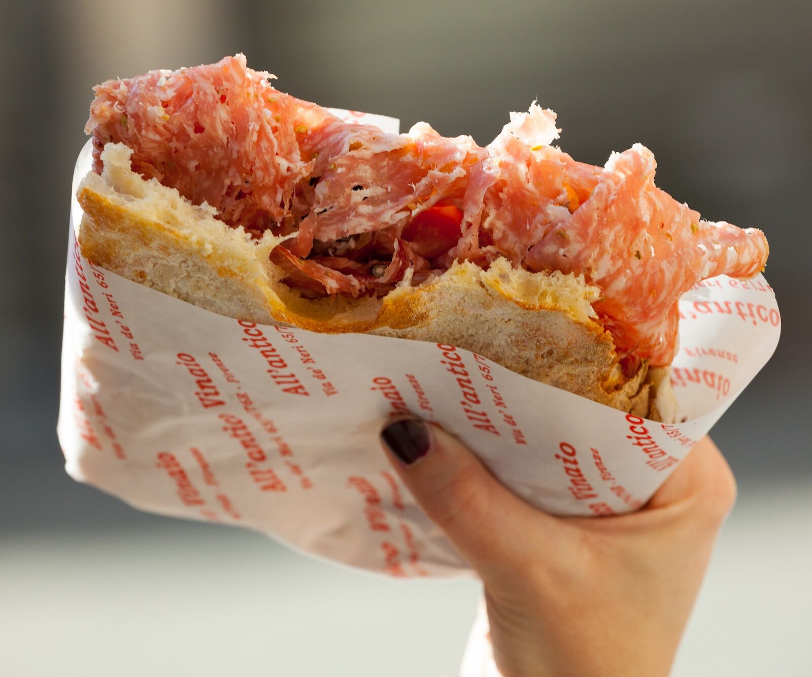 Rome-walking-tour-sandwich-All-antico-Vinaio