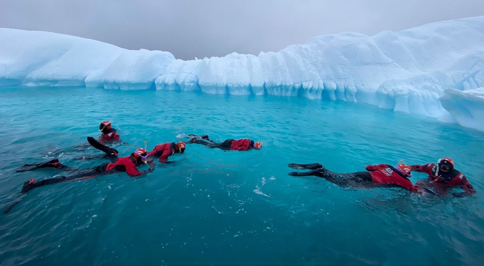 Snorkeling-in-Antarctica Snorkeling-in-Antarctica
