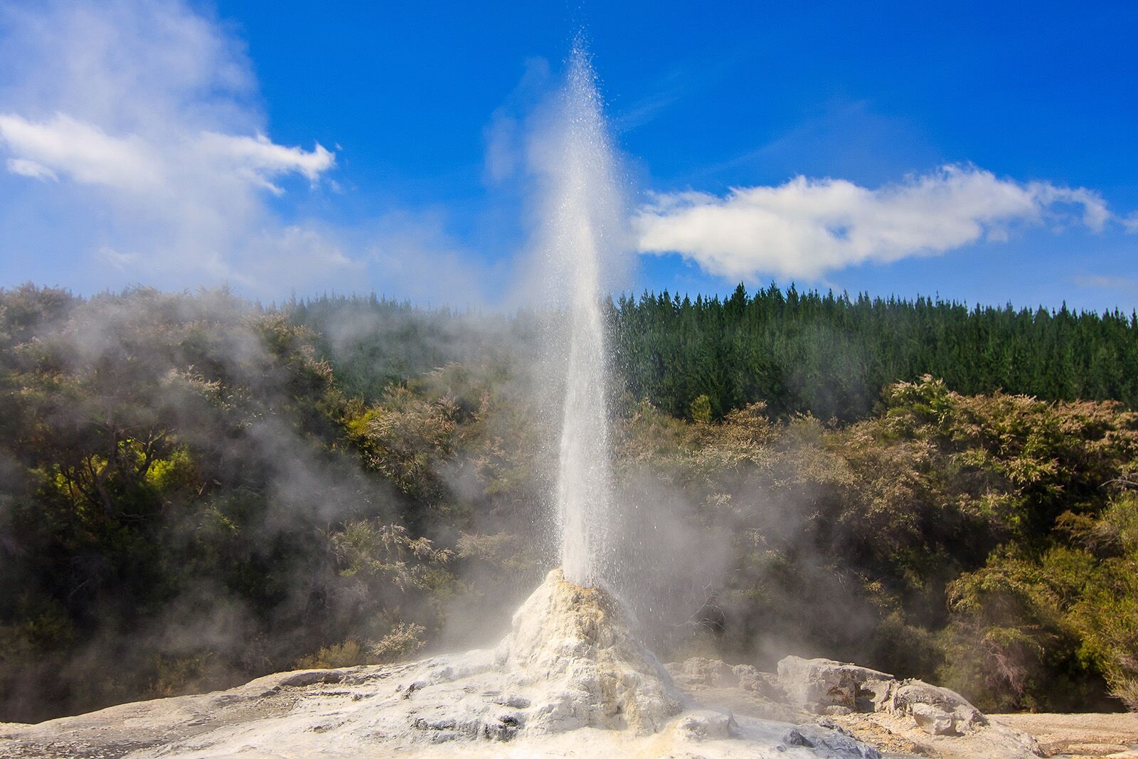 shutterstock_2272661611