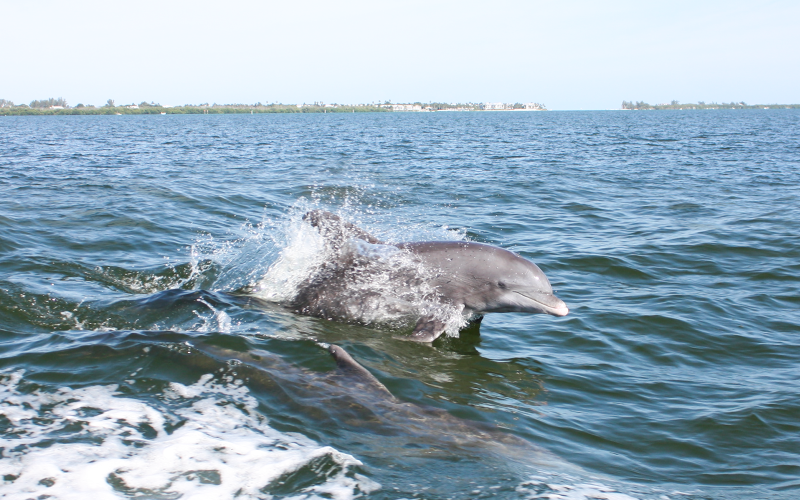 Matador-1600pxW-CaptivaCruises