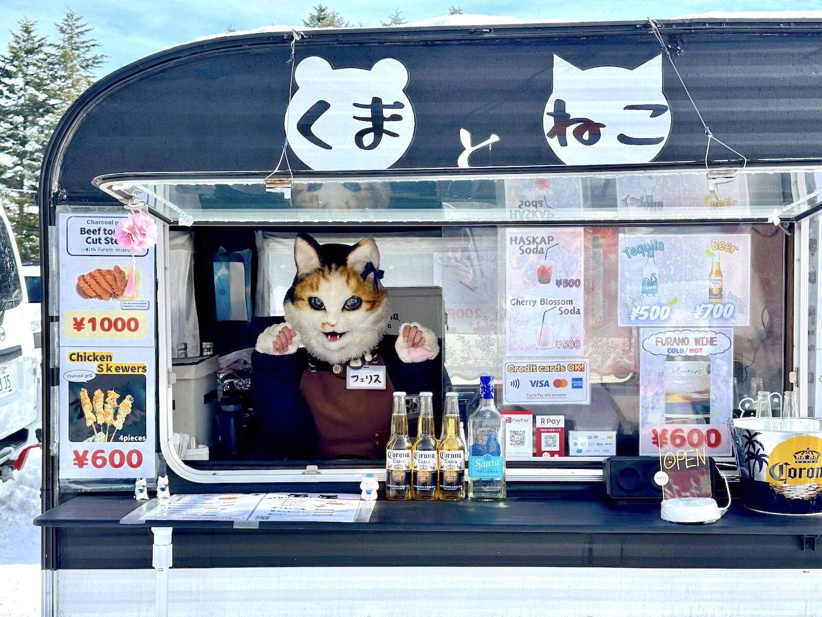 Kuma-to-Neko-at-Furano