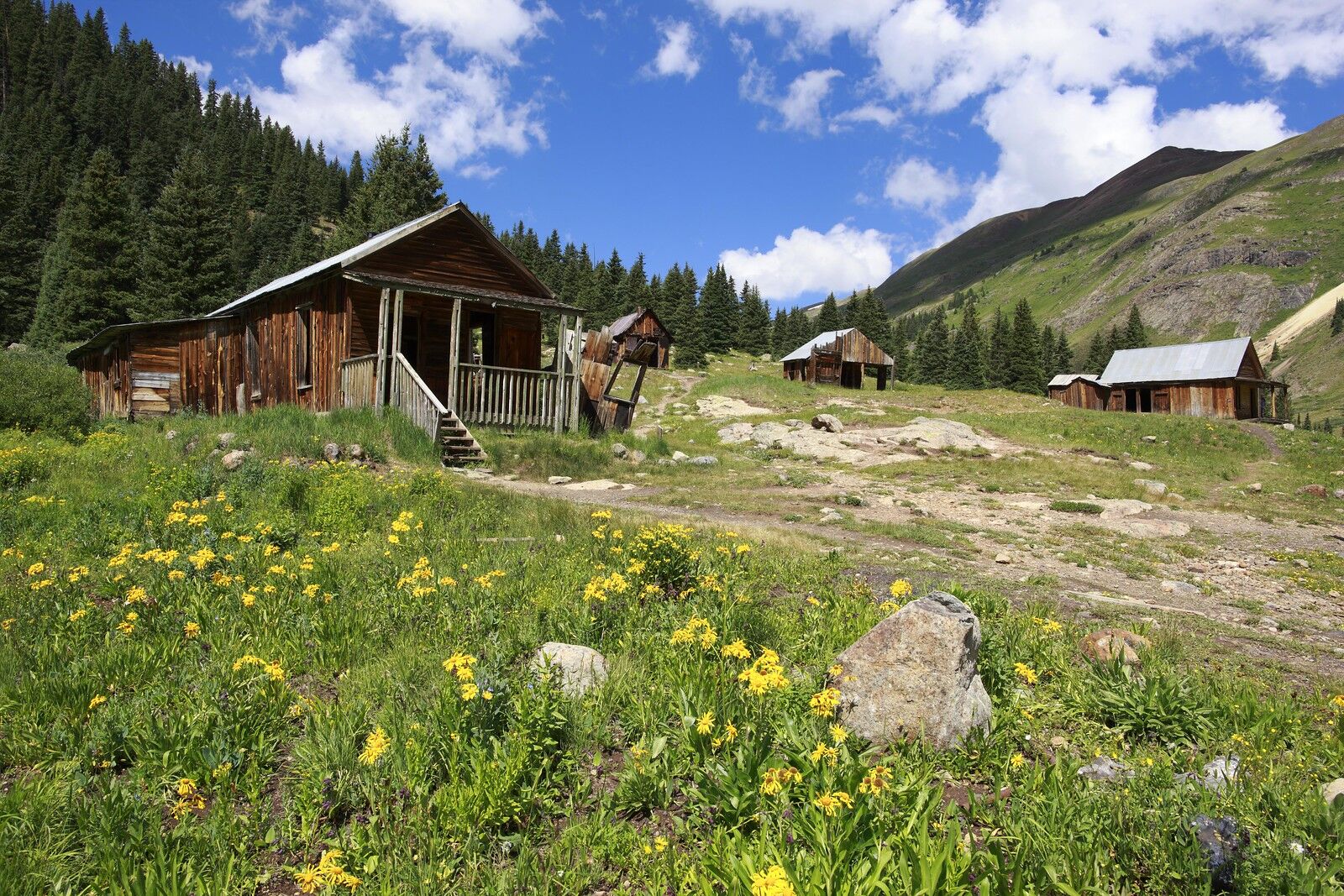 animas-forks-ghost-town