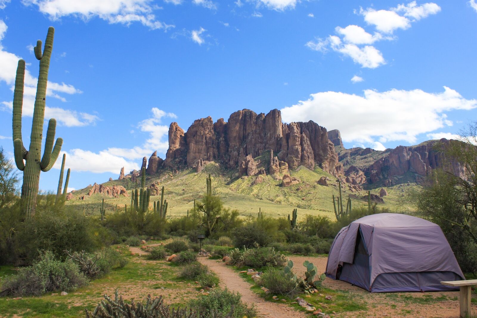 dutchman-az
