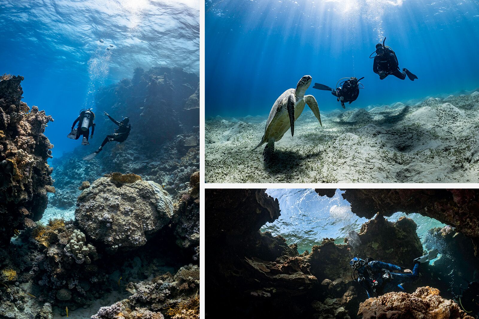 Liveaboard-diving