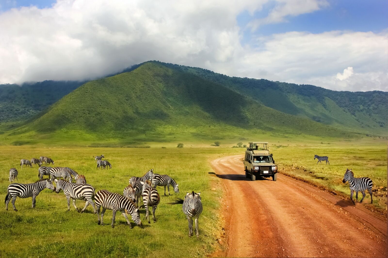 Ngorongoro-Crater-zebras