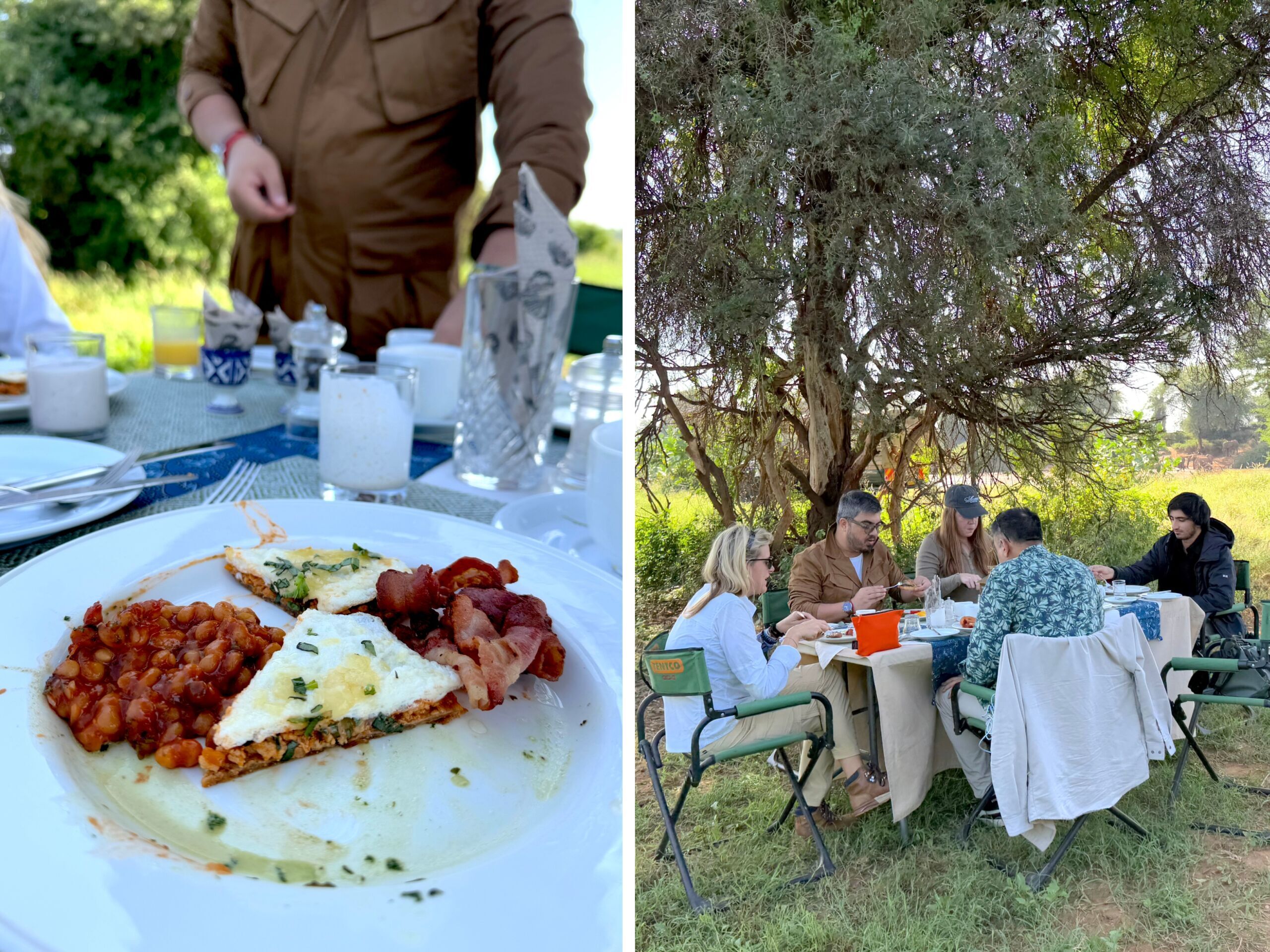 bush-breaky-scaled-1