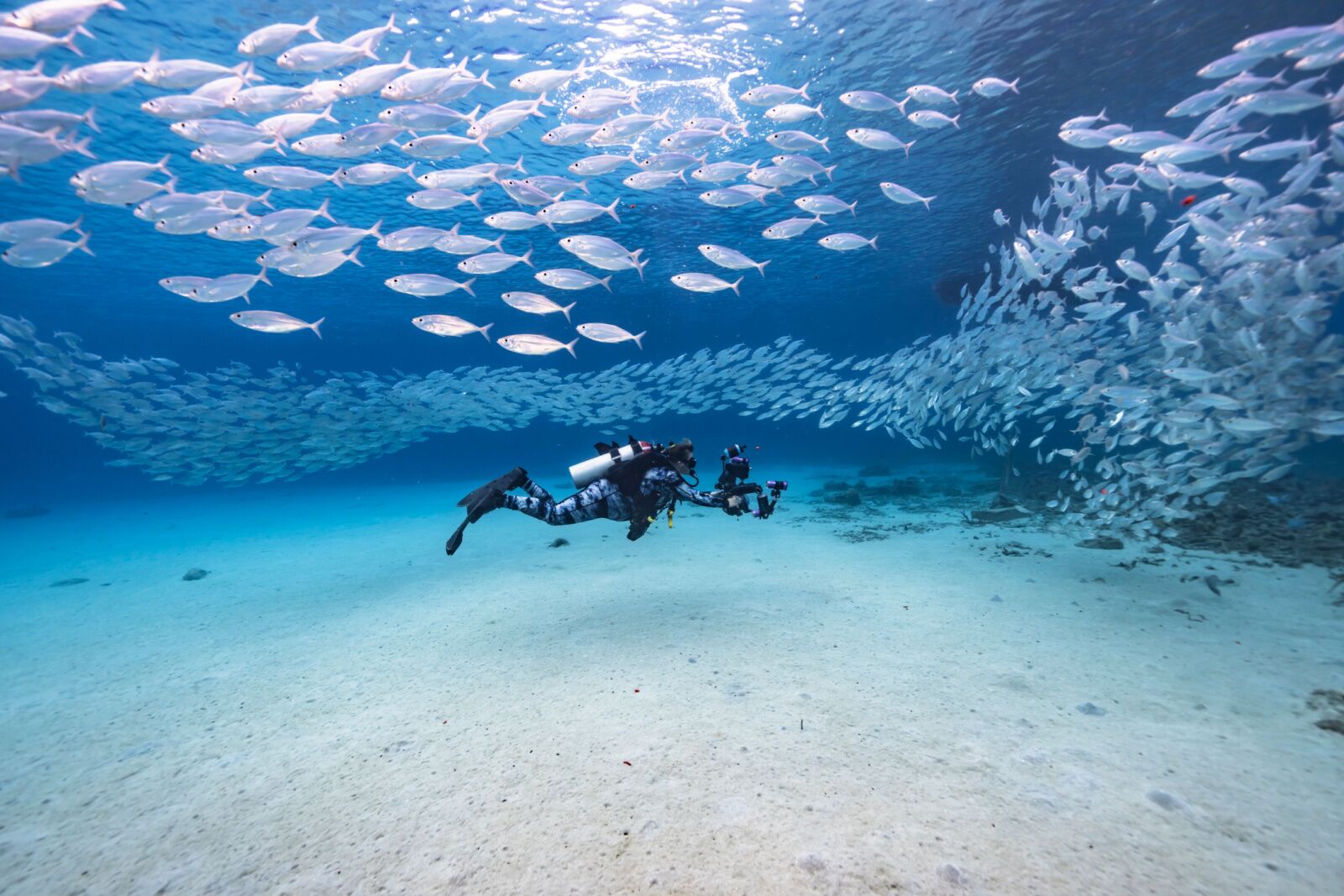 curacao-diving-island-of