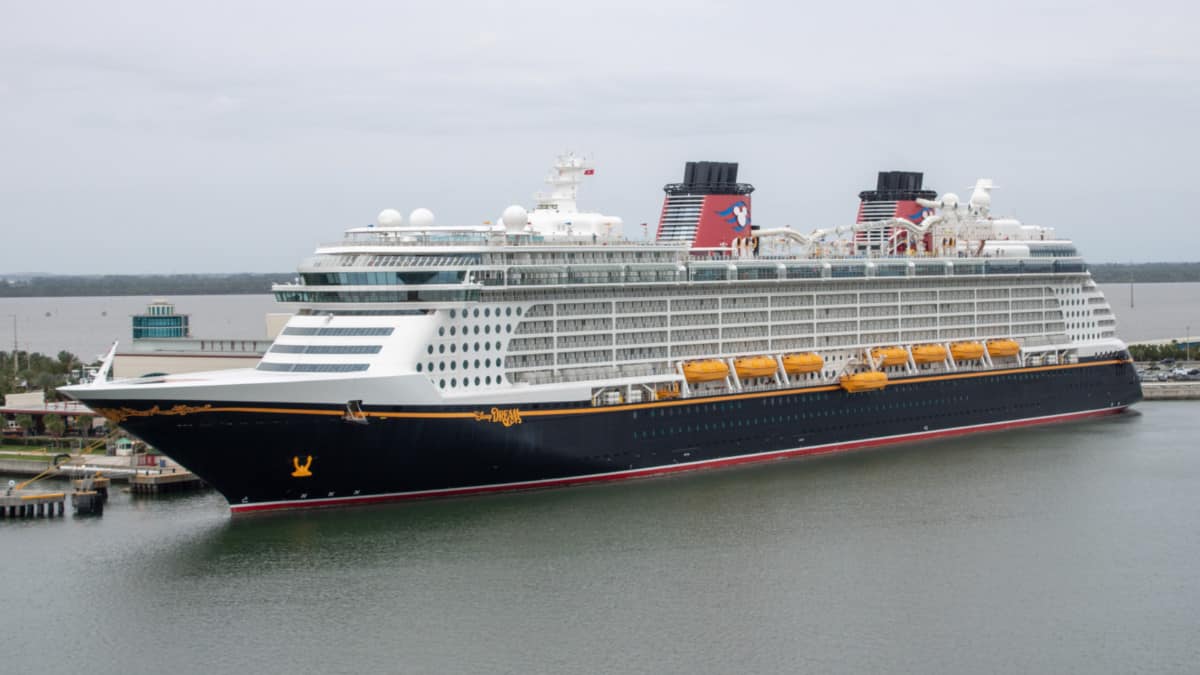 disneydream11